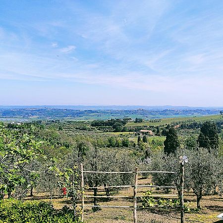 La Casina Di Colle - Appartamento Rustico Sulle Colline Di Pisa Casciana Terme Eksteriør billede