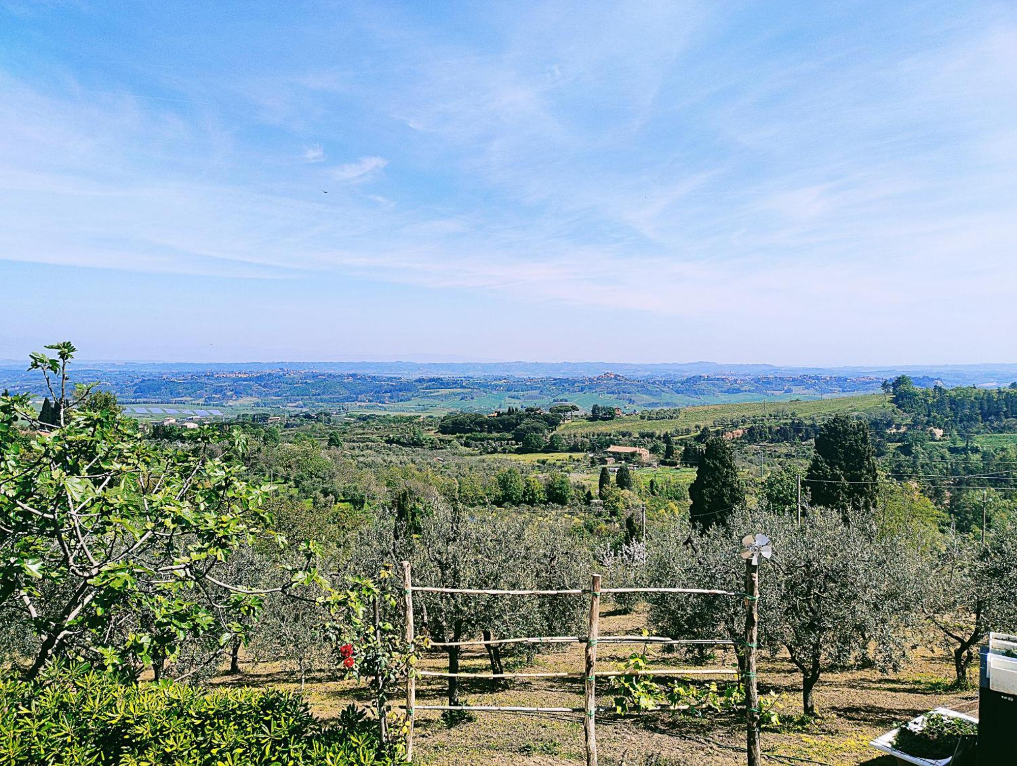 La Casina Di Colle - Appartamento Rustico Sulle Colline Di Pisa Casciana Terme Eksteriør billede